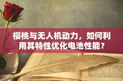 樱桃与无人机动力，如何利用其特性优化电池性能？