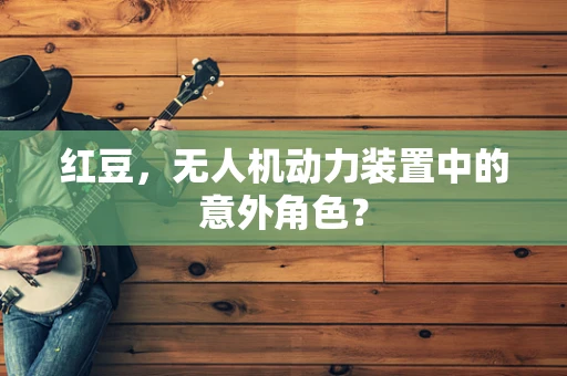红豆，无人机动力装置中的意外角色？