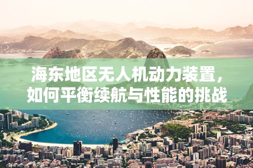 海东地区无人机动力装置，如何平衡续航与性能的挑战？