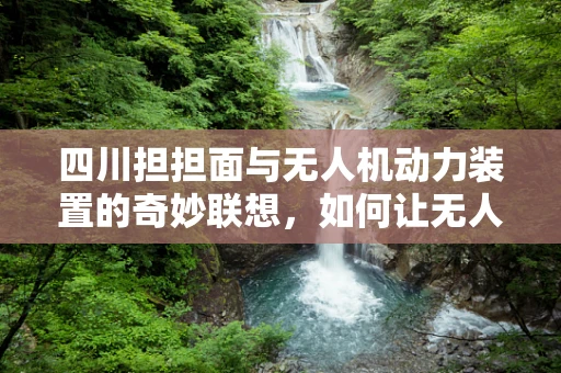 四川担担面与无人机动力装置的奇妙联想，如何让无人机‘辣’得飞起？