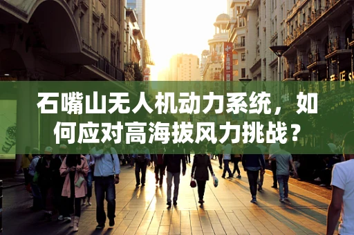 石嘴山无人机动力系统，如何应对高海拔风力挑战？