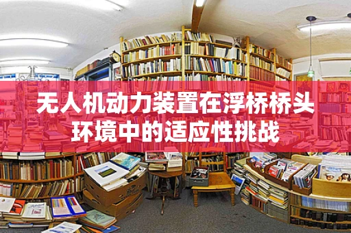 无人机动力装置在浮桥桥头环境中的适应性挑战