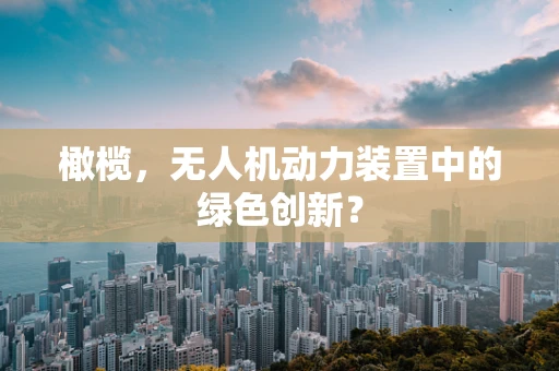 橄榄，无人机动力装置中的绿色创新？