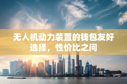 无人机动力装置的钱包友好选择，性价比之问