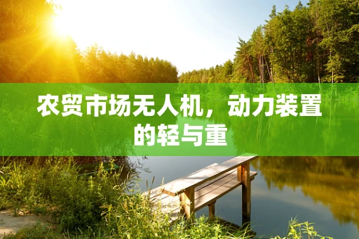 农贸市场无人机，动力装置的轻与重