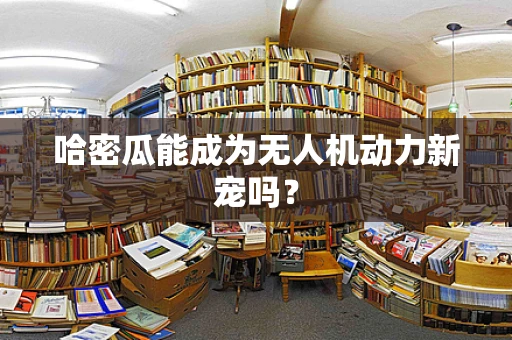 哈密瓜能成为无人机动力新宠吗？