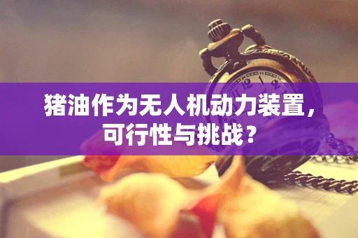 猪油作为无人机动力装置，可行性与挑战？