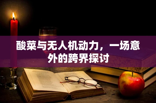 酸菜与无人机动力，一场意外的跨界探讨