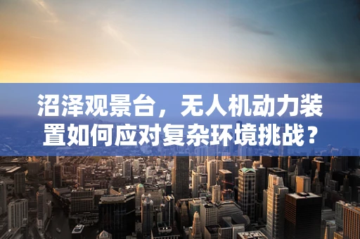沼泽观景台，无人机动力装置如何应对复杂环境挑战？