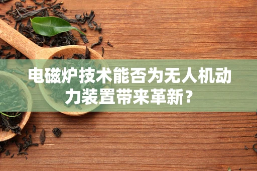电磁炉技术能否为无人机动力装置带来革新？