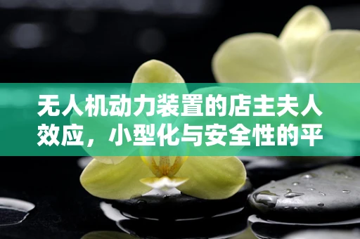 无人机动力装置的店主夫人效应，小型化与安全性的平衡挑战