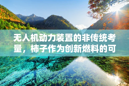 无人机动力装置的非传统考量，柿子作为创新燃料的可能性？