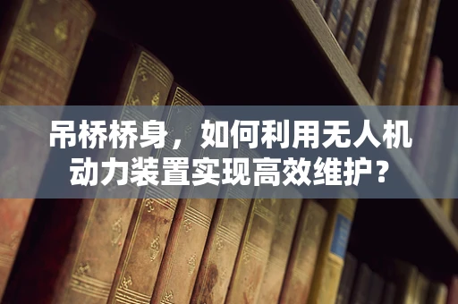 吊桥桥身，如何利用无人机动力装置实现高效维护？
