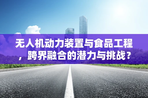 无人机动力装置与食品工程，跨界融合的潜力与挑战？