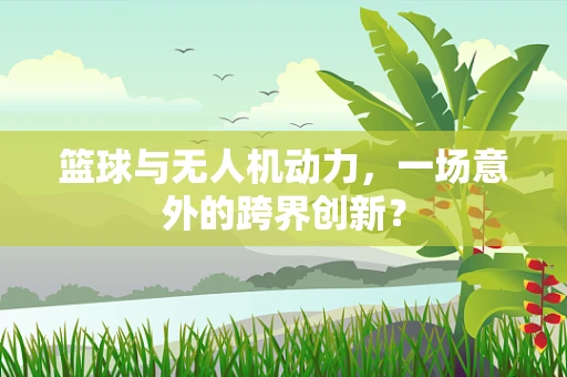 篮球与无人机动力，一场意外的跨界创新？