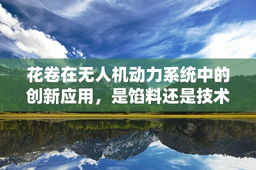 花卷在无人机动力系统中的创新应用，是馅料还是技术革新？