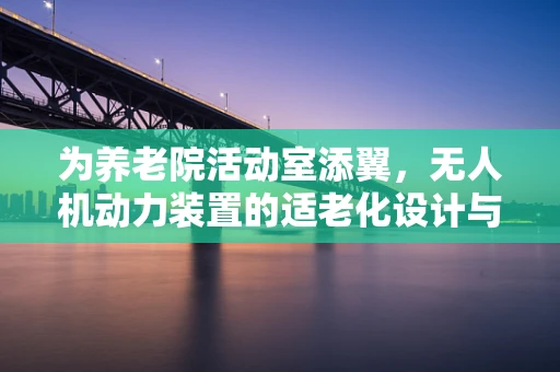 为养老院活动室添翼，无人机动力装置的适老化设计与安全考量