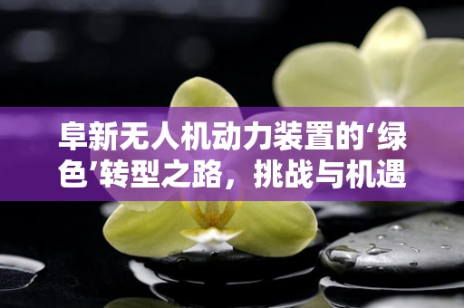 阜新无人机动力装置的‘绿色’转型之路，挑战与机遇并存