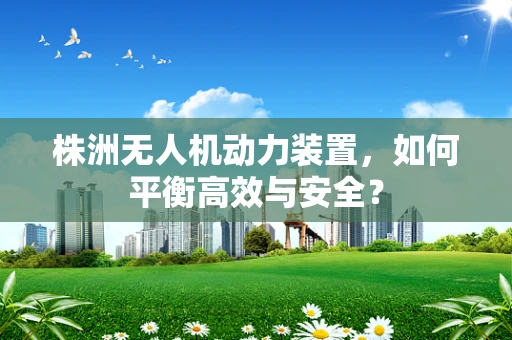 株洲无人机动力装置，如何平衡高效与安全？