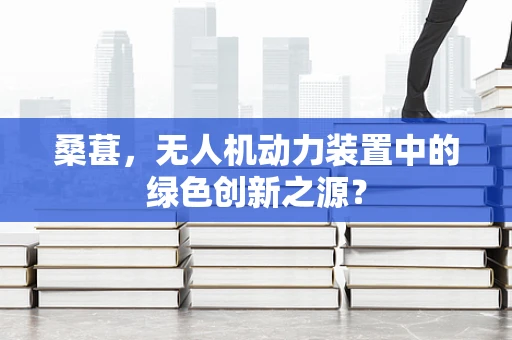 桑葚，无人机动力装置中的绿色创新之源？