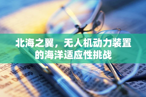 北海之翼，无人机动力装置的海洋适应性挑战