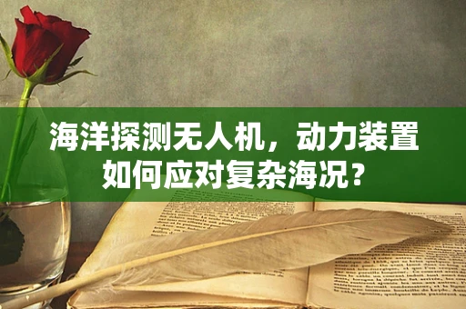 海洋探测无人机，动力装置如何应对复杂海况？