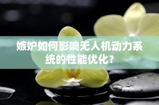 嫉妒如何影响无人机动力系统的性能优化？