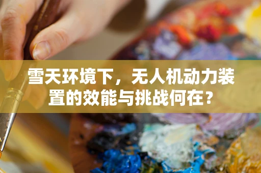 雪天环境下，无人机动力装置的效能与挑战何在？