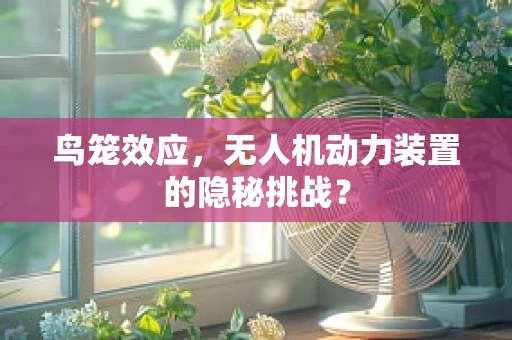 鸟笼效应，无人机动力装置的隐秘挑战？