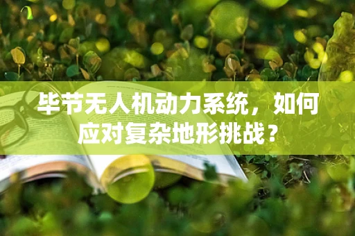 毕节无人机动力系统，如何应对复杂地形挑战？