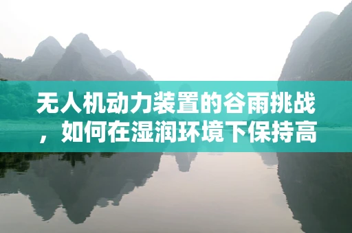 无人机动力装置的谷雨挑战，如何在湿润环境下保持高效飞行？