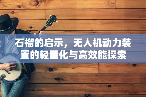 石榴的启示，无人机动力装置的轻量化与高效能探索