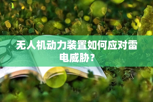 无人机动力装置如何应对雷电威胁？