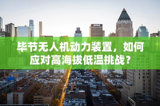毕节无人机动力装置，如何应对高海拔低温挑战？