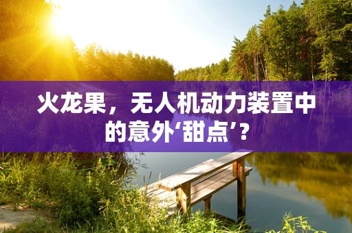火龙果，无人机动力装置中的意外‘甜点’？
