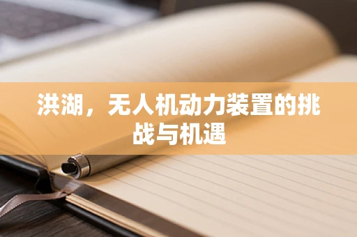 洪湖，无人机动力装置的挑战与机遇