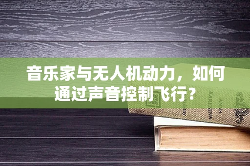 音乐家与无人机动力，如何通过声音控制飞行？