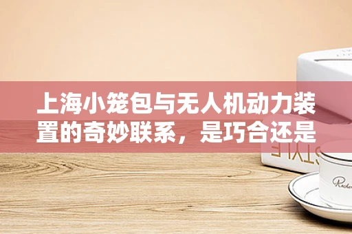 上海小笼包与无人机动力装置的奇妙联系，是巧合还是创新灵感？