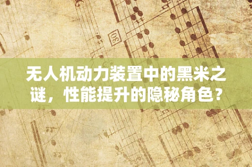 无人机动力装置中的黑米之谜，性能提升的隐秘角色？