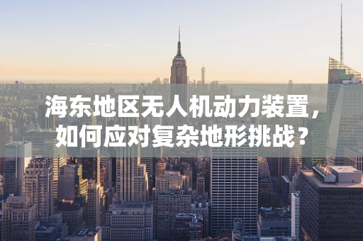 海东地区无人机动力装置，如何应对复杂地形挑战？