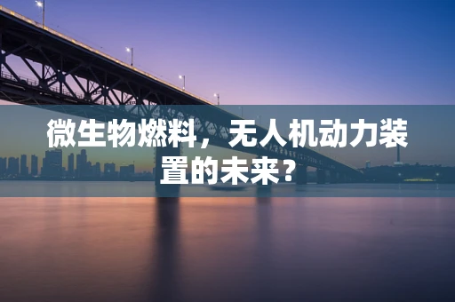 微生物燃料，无人机动力装置的未来？