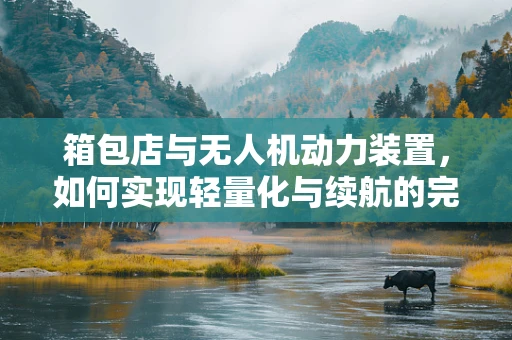 箱包店与无人机动力装置，如何实现轻量化与续航的完美结合？