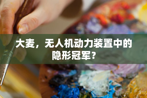 大麦，无人机动力装置中的隐形冠军？