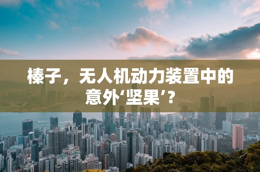 榛子，无人机动力装置中的意外‘坚果’？