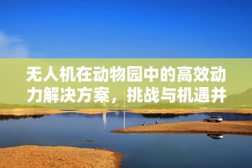 无人机在动物园中的高效动力解决方案，挑战与机遇并存