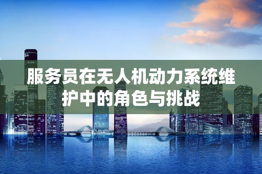 服务员在无人机动力系统维护中的角色与挑战