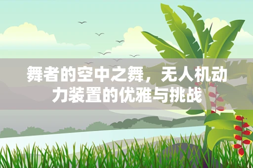 舞者的空中之舞，无人机动力装置的优雅与挑战