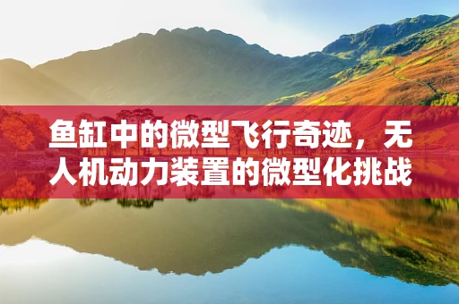 鱼缸中的微型飞行奇迹，无人机动力装置的微型化挑战