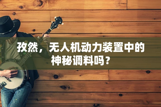 孜然，无人机动力装置中的神秘调料吗？