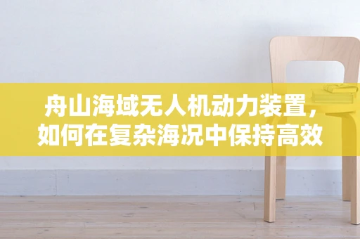 舟山海域无人机动力装置，如何在复杂海况中保持高效与稳定？